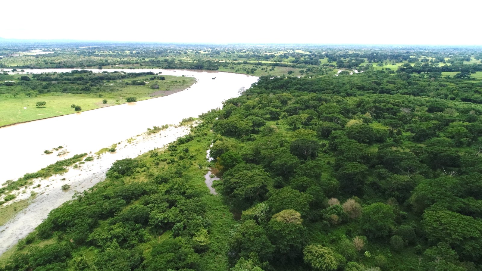 Zona arborizada a la orilla del río Sinú