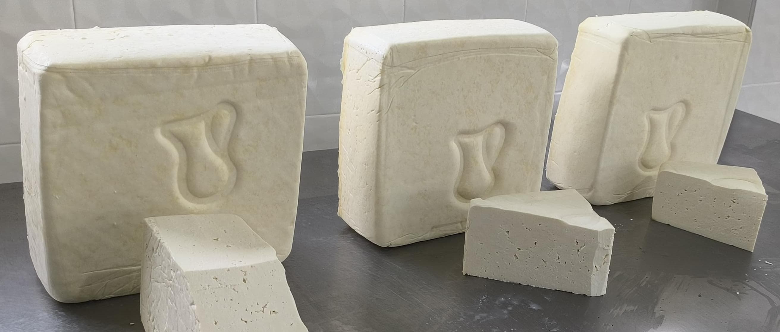 Bloques de queso costeño elaborado con leche de búfala
