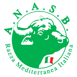 International Buffalo Federation