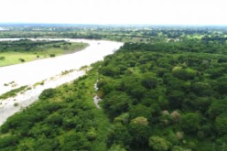 Zona arborizada a la orilla del río Sinú