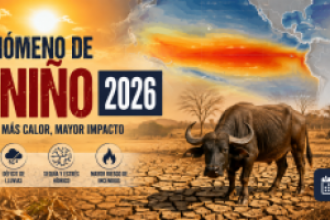 Fenómeno de El Niño 2026 en Córdoba, Colombia: sequía, altas temperaturas y estrés hídrico que afectan la ganadería bufalina y la disponibilidad de agua en los potreros.