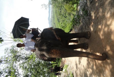 Paseo en elefante