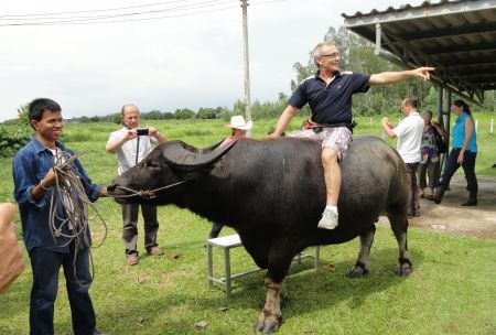 Carabao